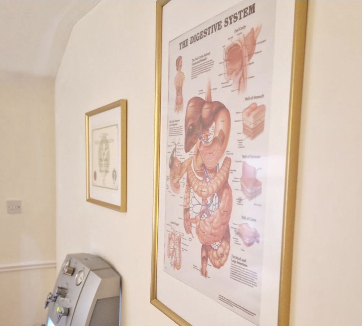 OPTIMAL WELLNESS Colon Hydrotherapy | Colon Irrigation