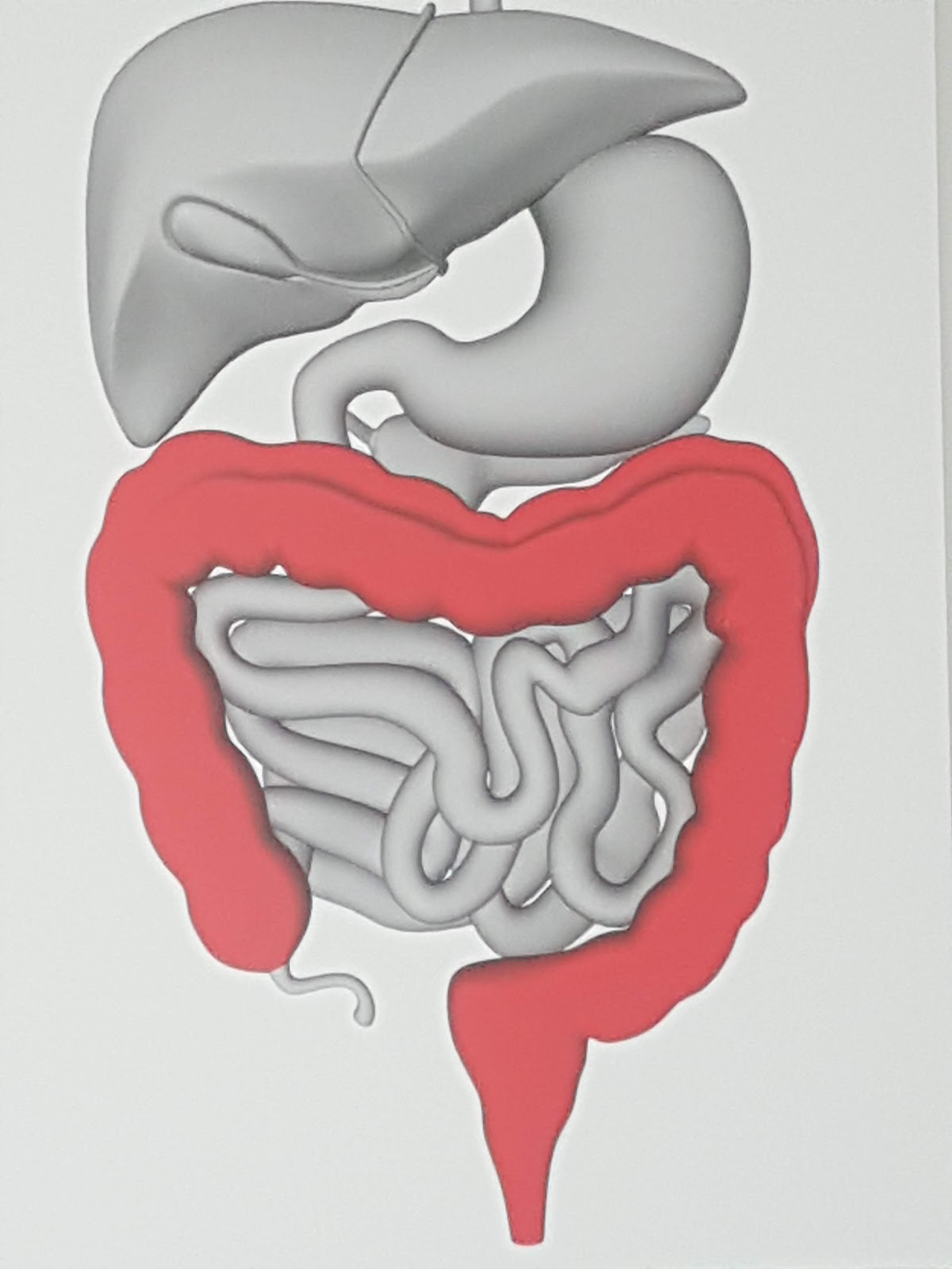 HIDROTERAPIA DE COLON VANESSA TEJADA