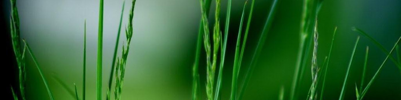 Naturheilpraxis Kirsten Thagaard, Heilpraktikerin