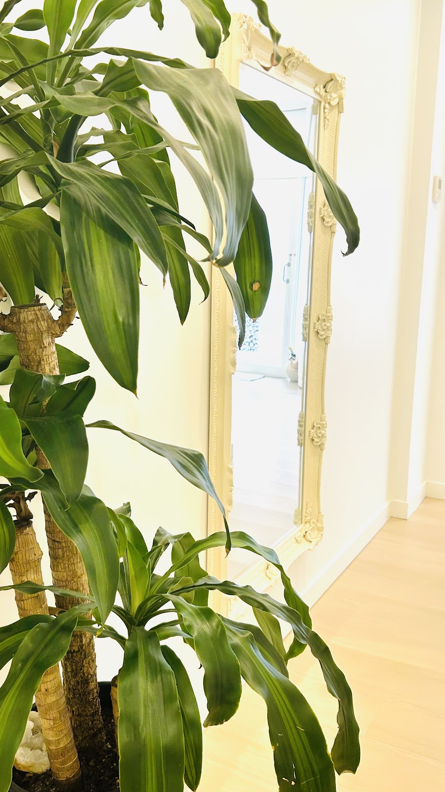 Kaya Colonics & Wellness Centre