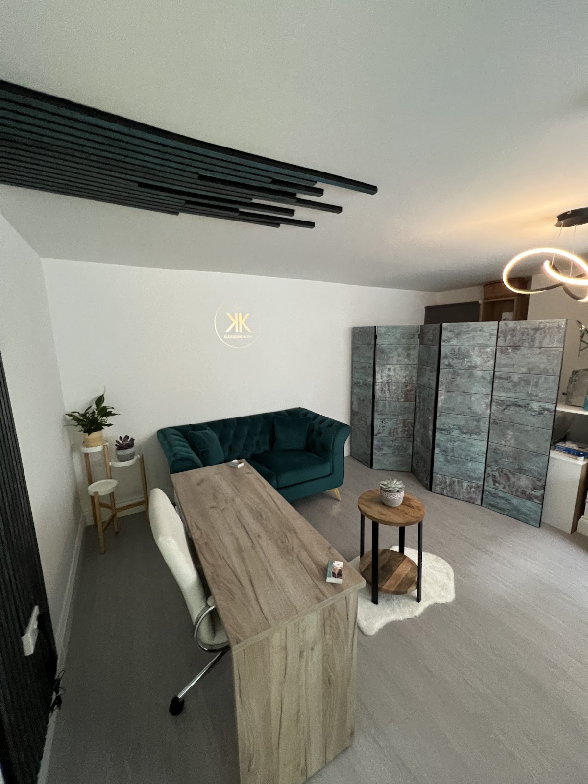 The Kleansing Klinic