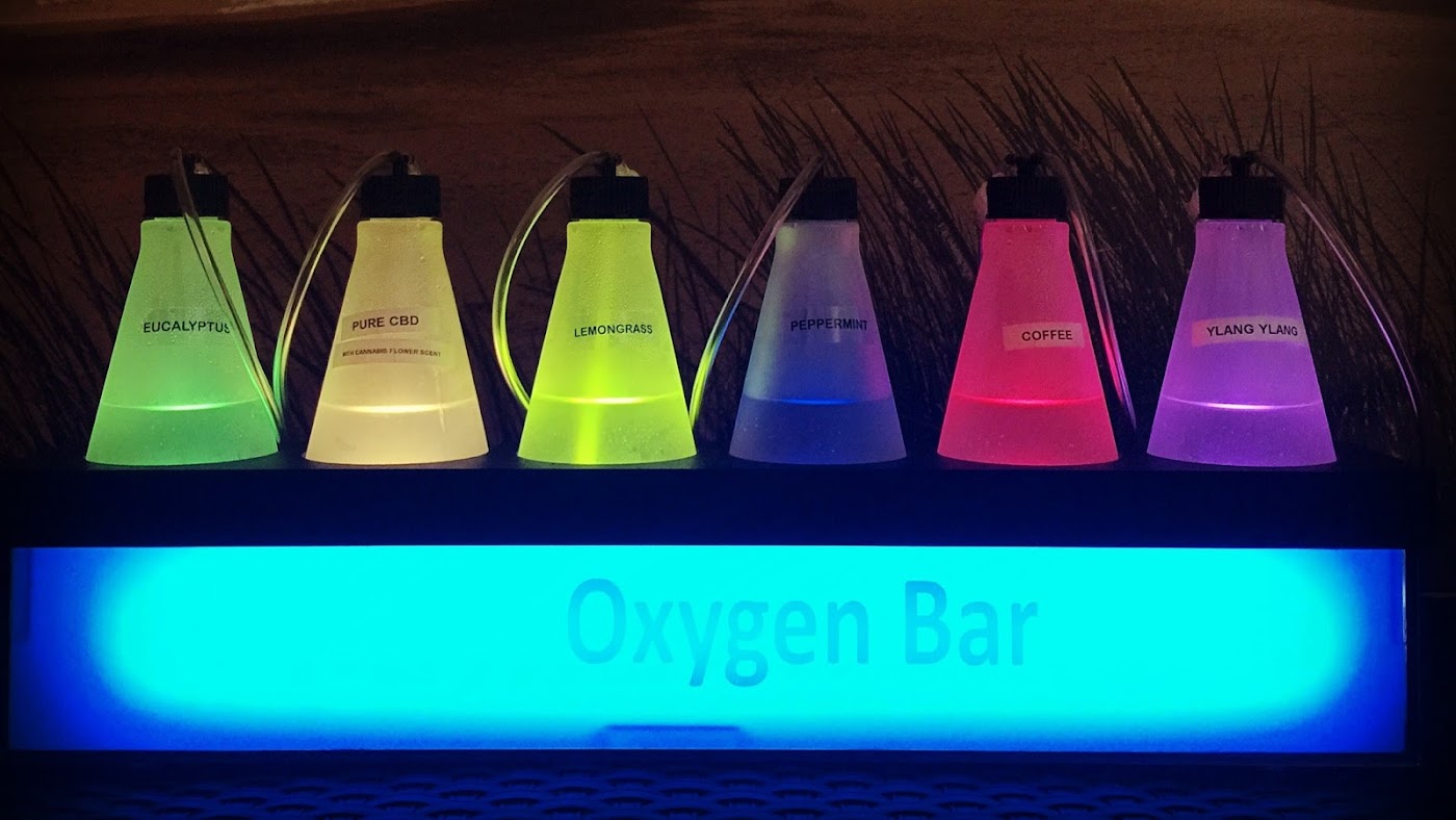 Cleanse Thyself Purely