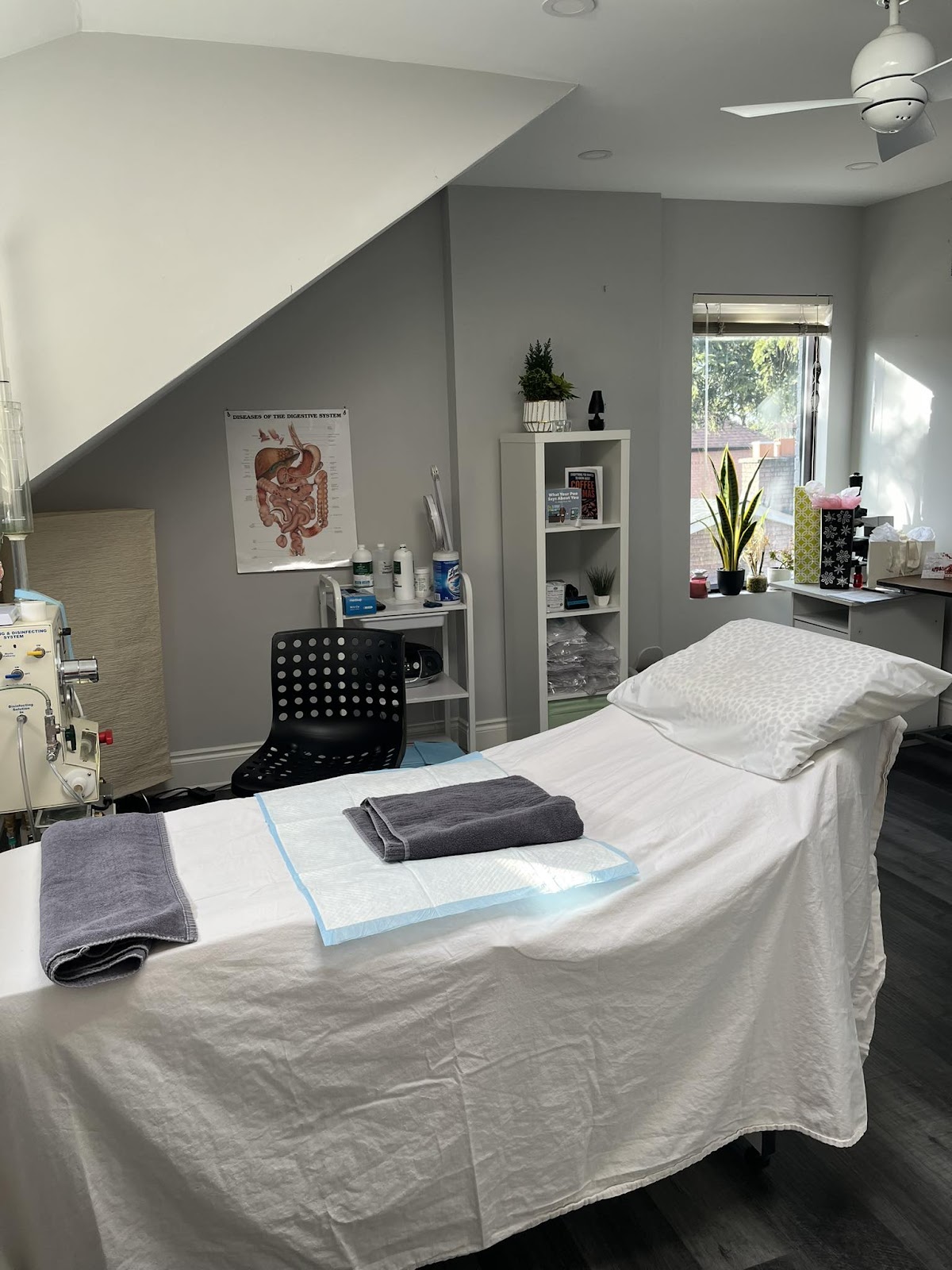 European Colonic Centre