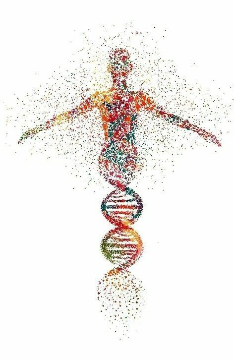 La Cura-Medicina naturale