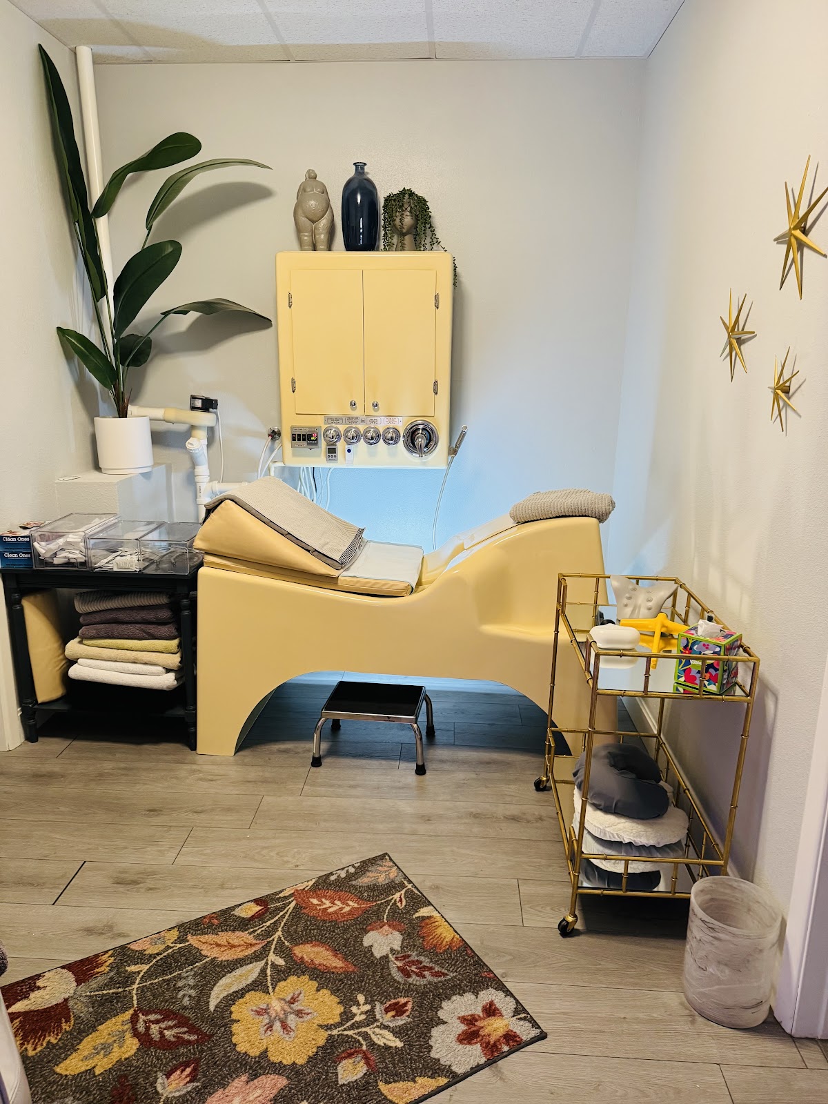 Flush Detox Day Spa (Colon Hydrotherapy)