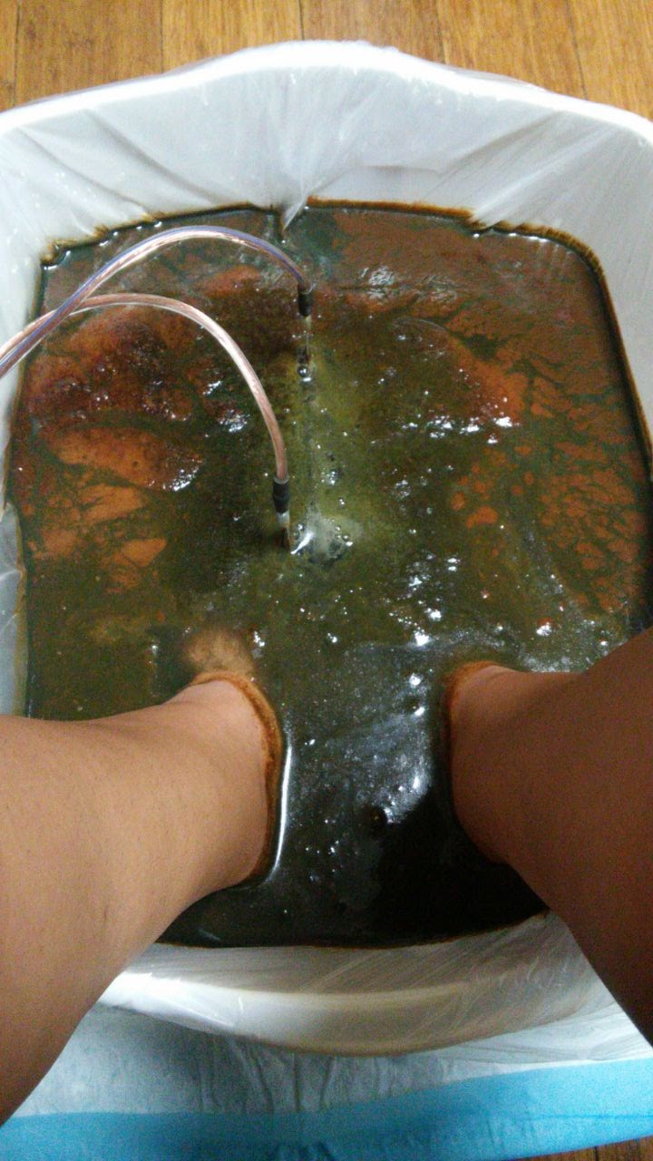 The Cleanse In Place