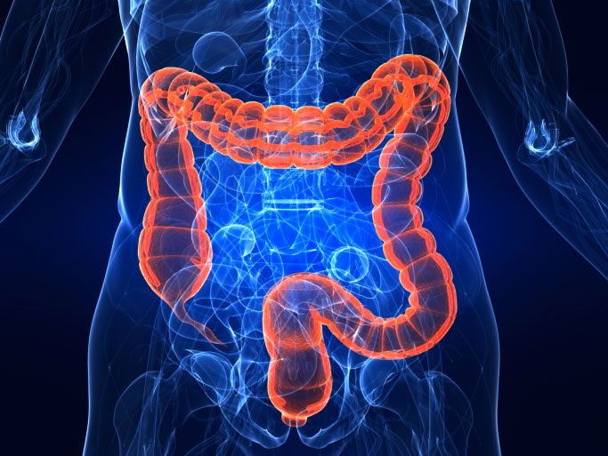 Centre Hygiene Vitalité