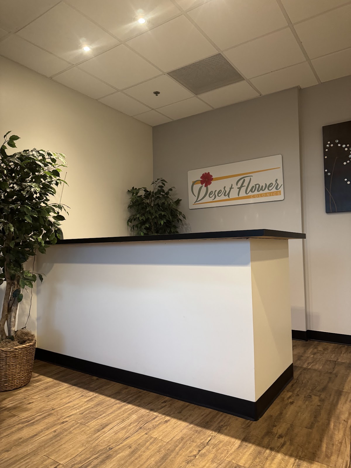 Desert Flower Colonics